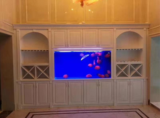 武漢魚(yú)缸定做案例